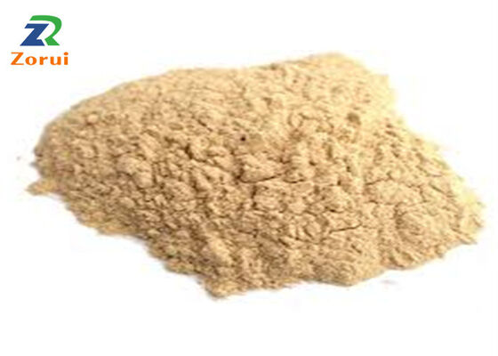 좋은 가격 황색 백색 분말 Celite/규조토 CAS 61790-53-2 분말 용매 산업 응용 온라인으로