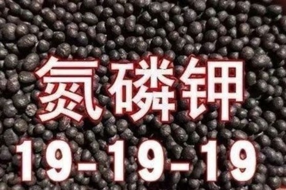 좋은 가격 NPK 19-19-19 화합물 비료 식물의 성장을 촉진하고 농작물 수확을 극대화 19:19:19 온라인으로