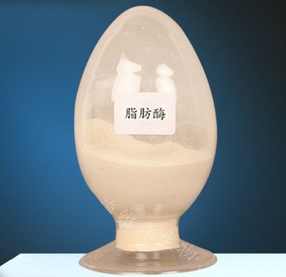 좋은 가격 리파스 효소 CAS 9001-62-1 리피드 대사 99% 순도 온라인으로