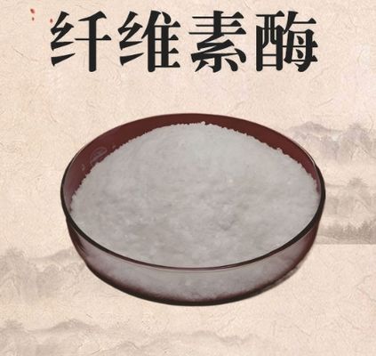 좋은 가격 셀룰라세 효소 99% 순수 하얀 분말 CAS 9012-54-8 온라인으로