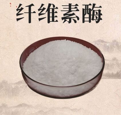 좋은 가격 셀룰라아제 효소 CAS 9012-54-8 백색 분말 99% 순도 온라인으로