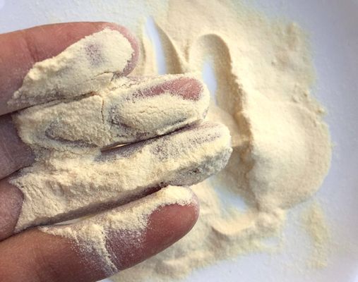 좋은 가격 CAS 73049-73-7 미생물학적 응용을 위한 수용성 단백질 가수분해물 펩톤 온라인으로