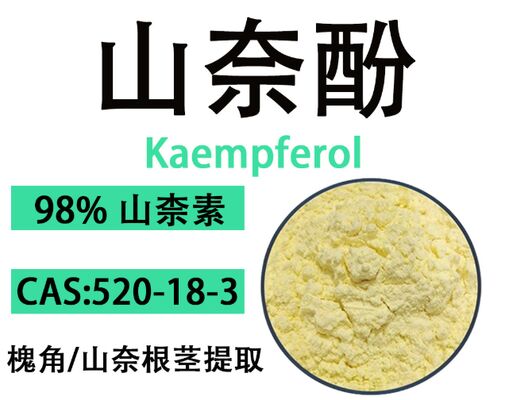 좋은 가격 CAS 520-18-3 항산화제 및 노화 방지 제제 98% Kaempferol 황색 크리스탈 분말 온라인으로