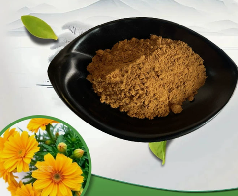 좋은 가격 자연적인 금송화 Officinalis 추출물 CAS 84776-23-8 화장용 급료 분말 온라인으로