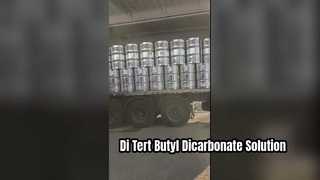 CAS 24424-99-5 디테르트 부틸 디카본레이트 반응제 공장